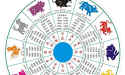 生肖查询
