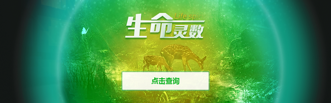 生命灵数查询