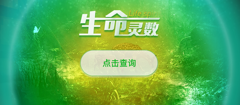 生命灵数查询