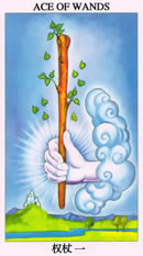 塔罗牌：权杖一（Ace Of Wands）正位/逆位牌义解释