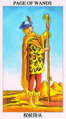 塔罗牌：权杖侍从（Page Of Wands）正位/逆位牌义解释
