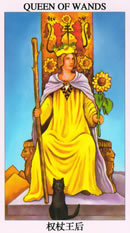 塔罗牌：权杖王后（Queen Of Wands）正位/逆位牌义